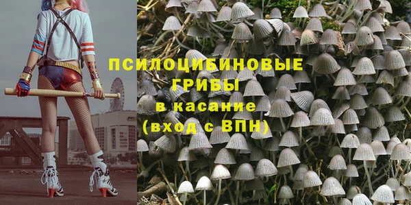 прущая мука Абаза
